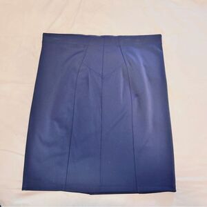 Daisy Fuentes Women XL Skirt Pull-on Purple Stretch Pencil Workwear Business